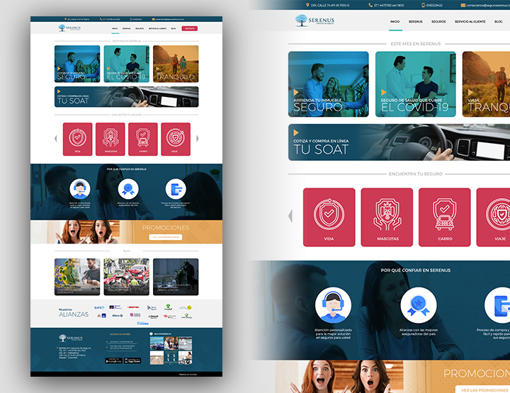 portafolio desarrollo web serenus ivan garay